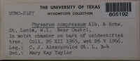 Image Associated With the Occurrence